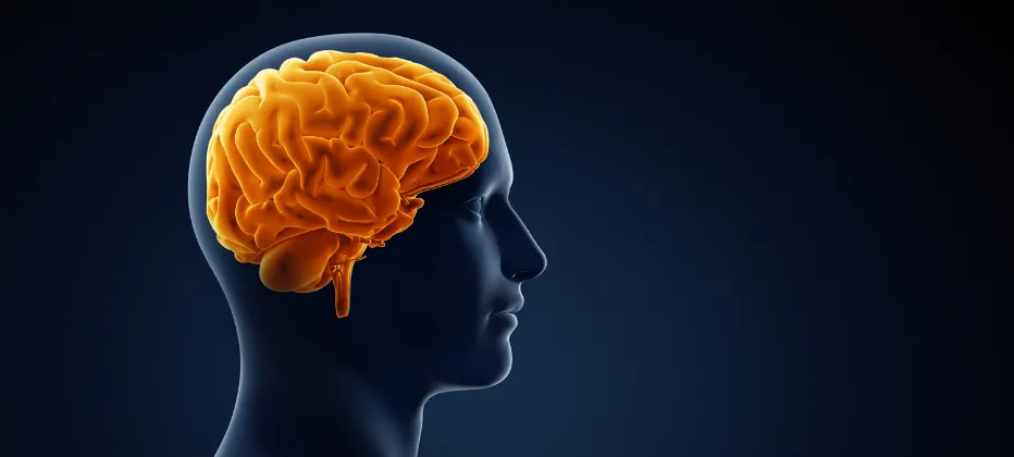 atrofia-cortical-2