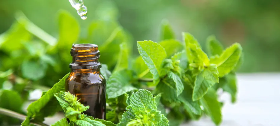 beneficios de la inhalacion del mentol y alzheimer