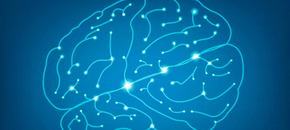 cerebro con alzheimer sin alzheimer