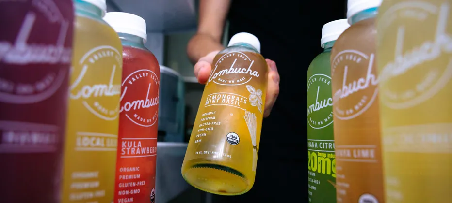 por que la kombucha puede ayudar a tu intestino como ayuda la kombucha a tu intestino