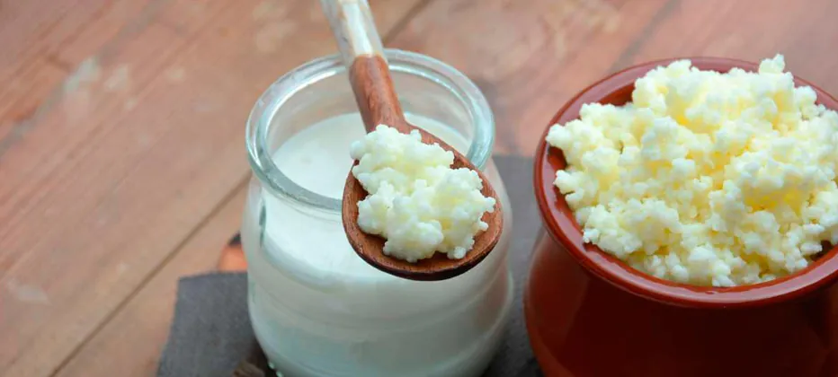 cuales son los mejores alimentos fermentados