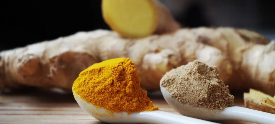 curcuma en la enfermedad del parkinson curcuma en la enfermedad del parkinson