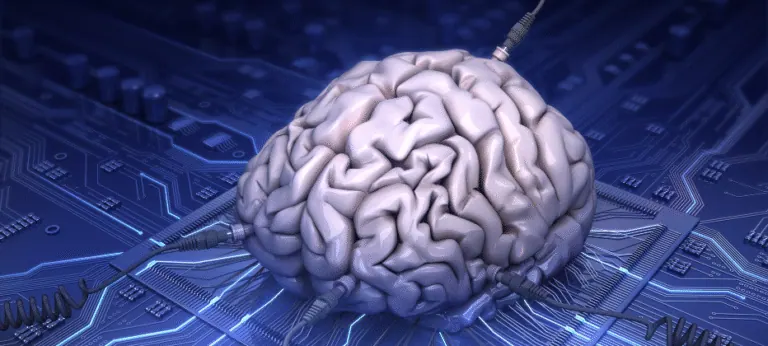 Atrofia cortical en enfermedades neurodegenerativas