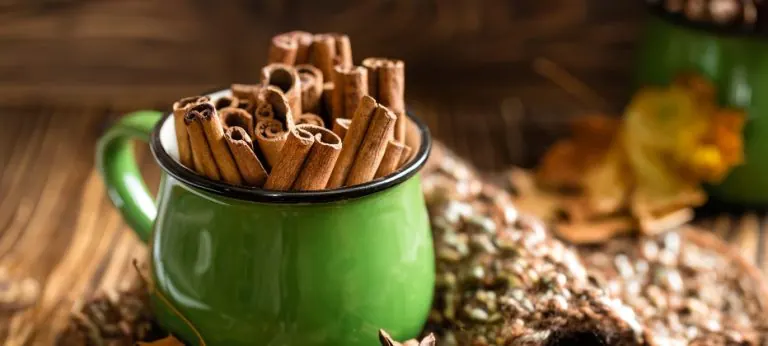 Canela: un alimento con beneficios para su organismo
