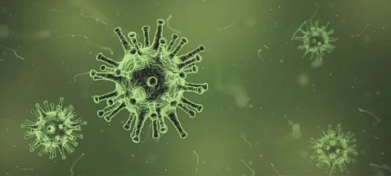 Consejos para cuidar a adultos mayores en pandemia del COVID-19