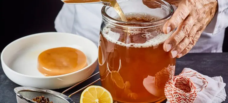 ¿Cuáles son los beneficios de la kombucha?