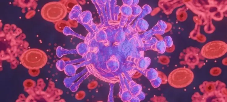 Estrés oxidativo: ¿Qué es y cómo prevenirlo?