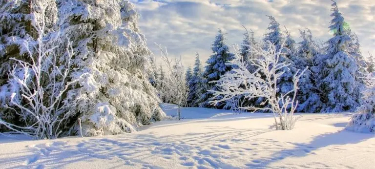 Invierno y la enfermedad de Parkinson