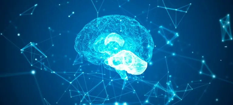 Milagros de neuroplasticidad