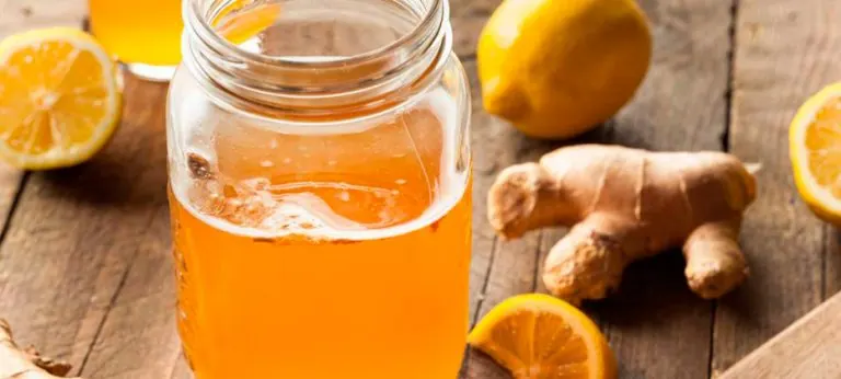 ¿Qué es y para qué sirve la kombucha?