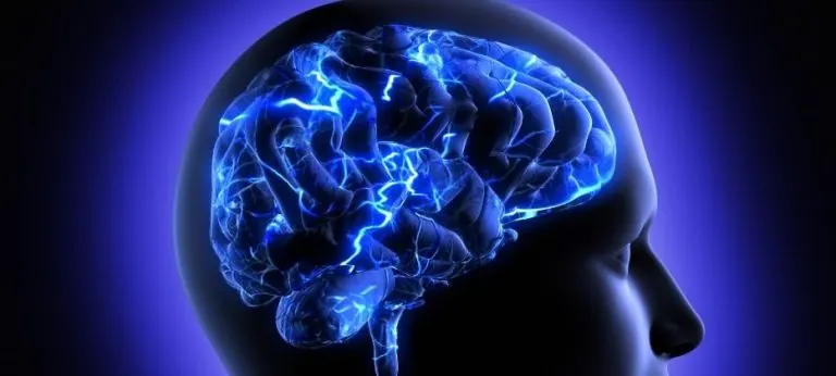 ¿Qué significa el Parkinson en la biodescodificación?