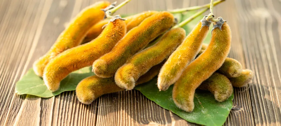 que propiedades tiene la mucuna