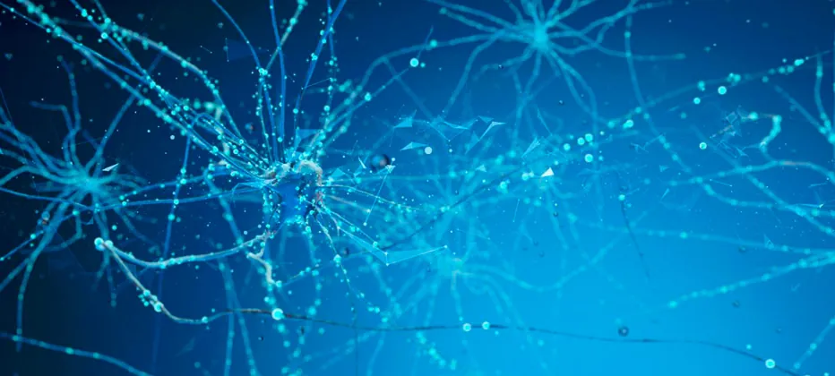 epilepsia sintomas sintomas epilepsia