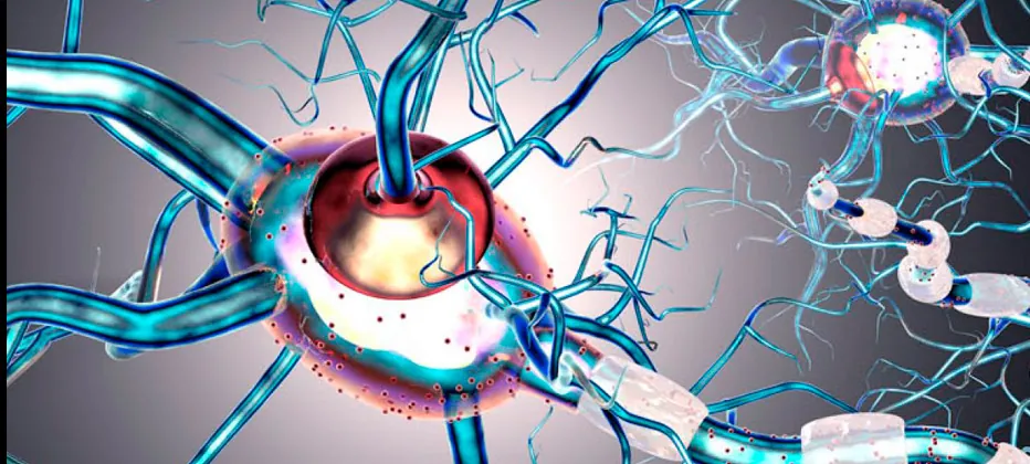 tipos de epilepsia