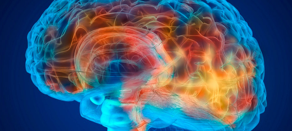 zonas del cerebro afectadas por el alzheimer