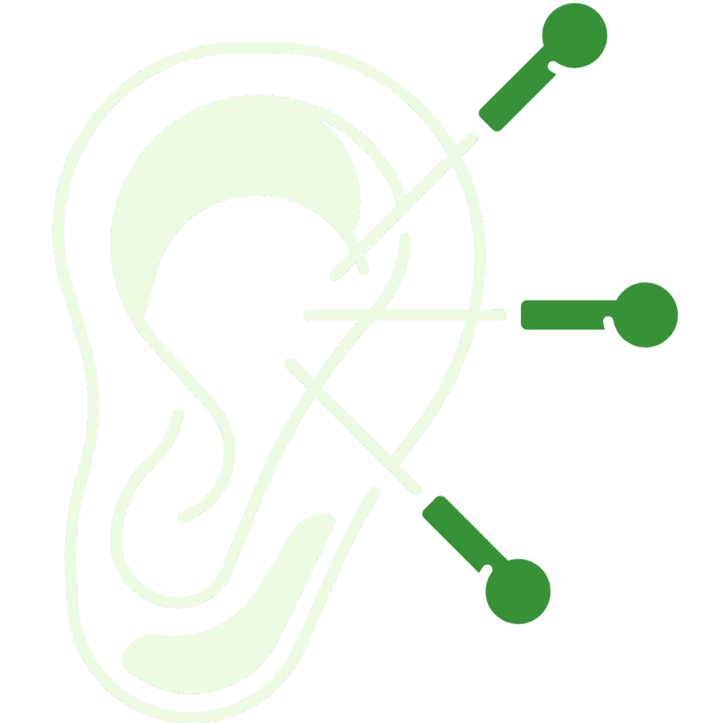 icono implantacion